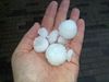 Pelt - Schade door onweer