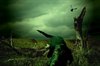 Pelt - 'A region with a lot of desolate views'