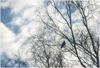 Lommel - De lente hangt in de lucht