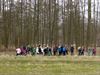 Lommel - Witterweken in de Watering