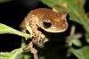 Overpelt - Vakantiegroeten uit... Madagascar