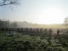 Beringen - Ochtendwandeling met Natuurpunt Beringen