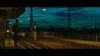 Neerpelt - Zebracinema: 'On Body and Soul'