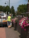 Lommel - Vandaag gezien