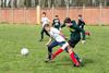 Beringen - Buurtvoetbaltornooi in Beringen