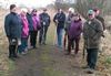 Neerpelt - Lentewandeling van OKRA Boseind