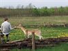 Lommel - Verrassingsact tijdens fietstocht