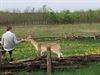 Lommel - Verrassingsact tijdens fietstocht