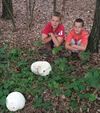 Overpelt - Dat belooft voor de herfst...