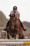 Pelt - Als enige foutloos
