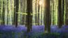 Lommel - Interesse in fotoworkshops?