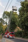 Overpelt - Boom geveld aan de Neuserdijk