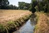 Leopoldsburg - Verbod: geen water uit beken of rivieren