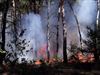 Lommel - Bosbrand aan de Teutenweg