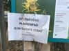 Beringen - Plankenpad wordt hersteld