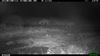 Beringen - 'Tweede wolf op militair domein'