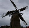 Hamont-Achel - Zaterdag molencontactdag in Neerpelt