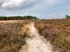 Lommel - De Blekerheide vandaag