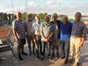 Neerpelt - Heren 65+ NTC naar halve finale