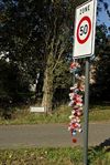 Hamont-Achel - Vandaag gezien...