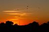 Beringen - Weer die mooie zonsondergang