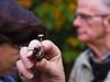 Beringen - Paddenstoelenwandeling