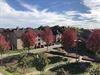Beringen - Herfst in Beringen