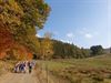 Hamont-Achel - Langs de kratermeren in de Vulkaaneifel