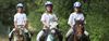 Hamont-Achel - Huur eens een paard