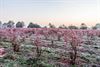 Beringen - Winter in aantocht