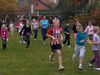 Hamont-Achel - Lopen voor De Robbert