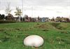 Overpelt - Vandaag gezien...