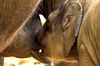 Neerpelt - Met de groeten uit de Zoo