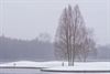 Beringen - Ondertussen, aan de Paalse Plas...