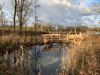 Hamont-Achel - Ondertussen, bij De Bever...