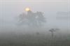 Lommel - Cursus 'Landschapsfotografie'