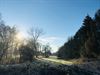 Beringen - Mooi wandelweer