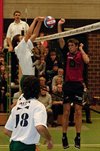 Hamont-Achel - AVOC verslaat Zoersel