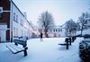 Lommel - Nog enkele sneeuwfoto's