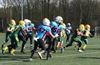 Beringen - Limburg Shotguns kloppen Brussels Tigers