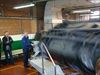 Overpelt - De tuimelwagen in TIO