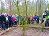 Hamont-Achel - Winterwandeling van Okra