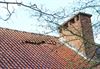 Houthalen-Helchteren - Ontwortelde bomen en weggeblazen dakpannen
