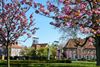 Beringen - Kioskplein in bloei