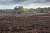 Lommel - De Heuvelse Heide na de brand