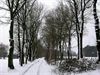 Neerpelt - Een trage, witte weg