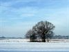 Pelt - Een witte Kerst