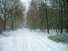Neerpelt - Wat sneeuw kan doen