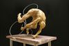 Beringen - Tentoonstelling De Koers