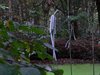 Overpelt - De Kunstroute: Jacky Loenders